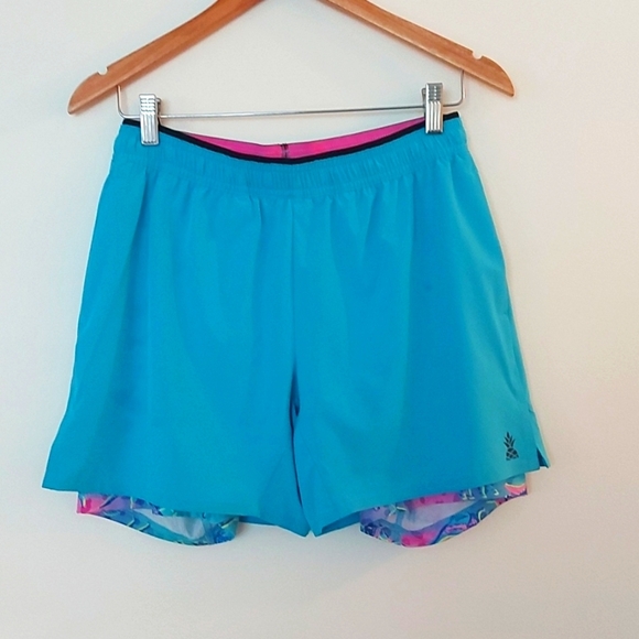 Chubbies Ultimate Training 5.5" Shorts Aqua Blue With Pink Dinosaur Print Lining - Picture 2 of 8